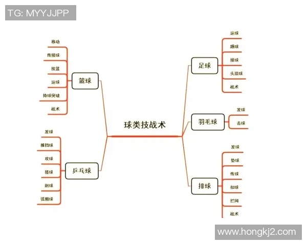 广州排球队盯防策略分析与战术解读探讨排球热点
